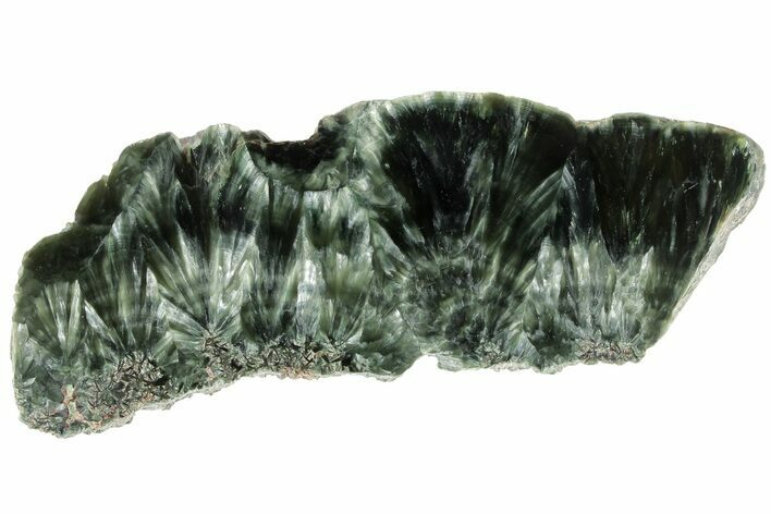 Polished Seraphinite Slab - Siberia #183520